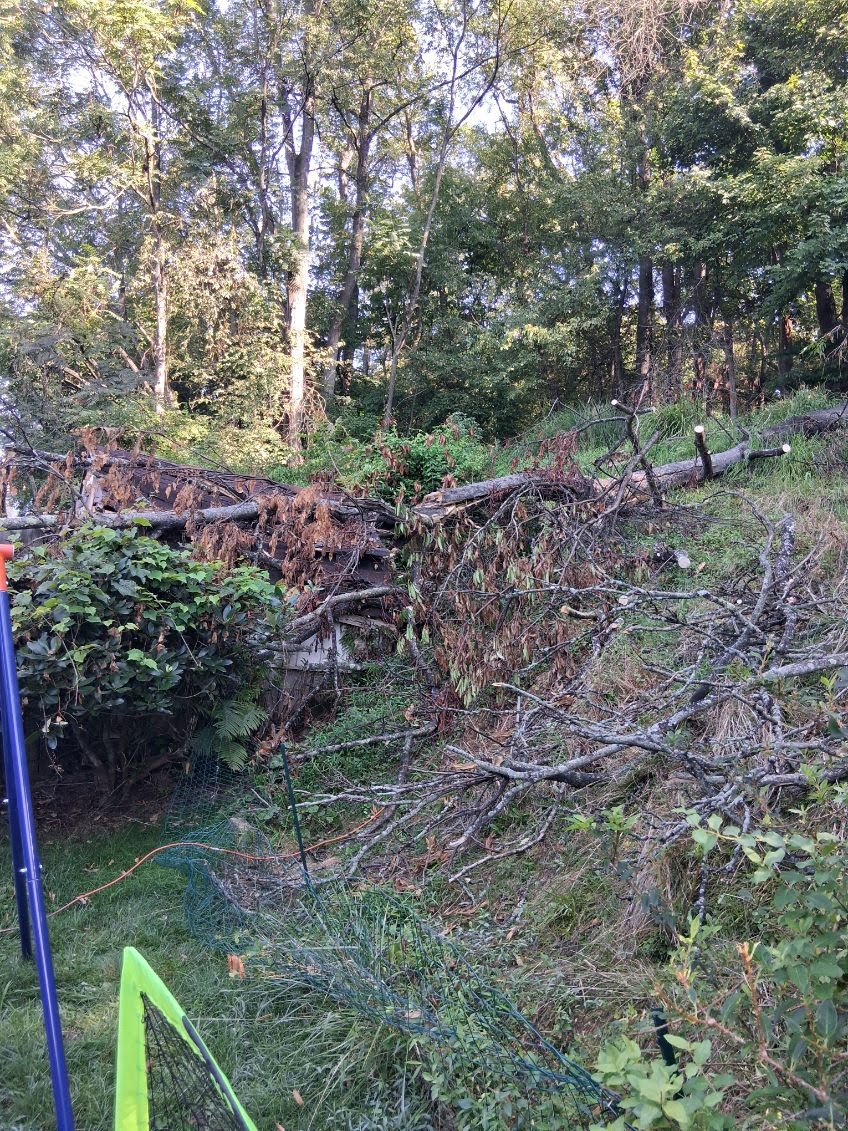 Disaster recovery response work